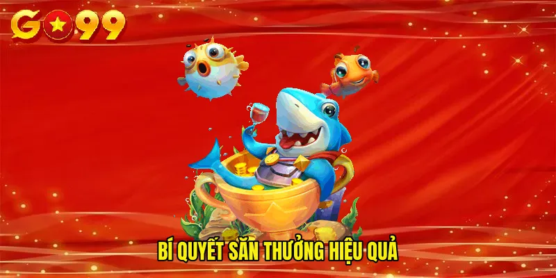 Bí quyết săn thưởng hiệu quả