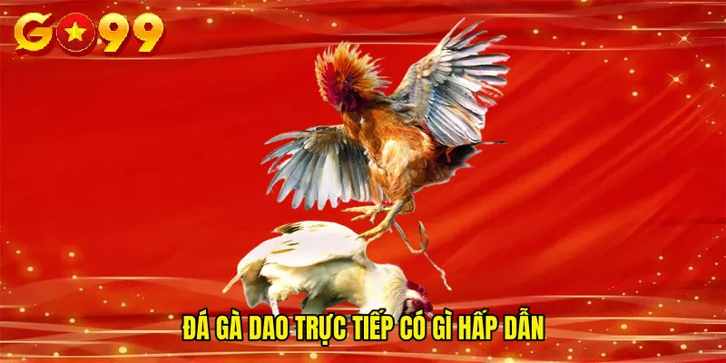 Đá gà dao trực tiếp có gì hấp dẫn