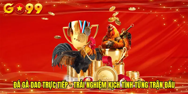 Đá Gà Dao Trực Tiếp – Trải Nghiệm Kịch Tính Từng Trận Đấu