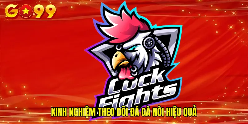 Kinh nghiệm theo dõi đá gà nòi hiệu quả