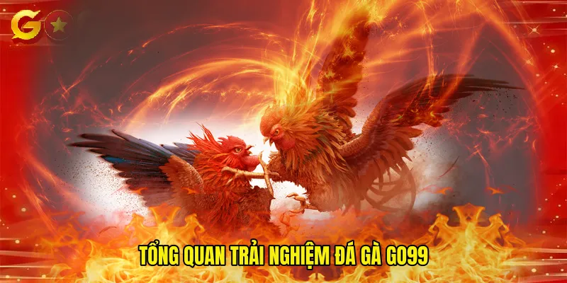 Tổng quan trải nghiệm Đá Gà GO99